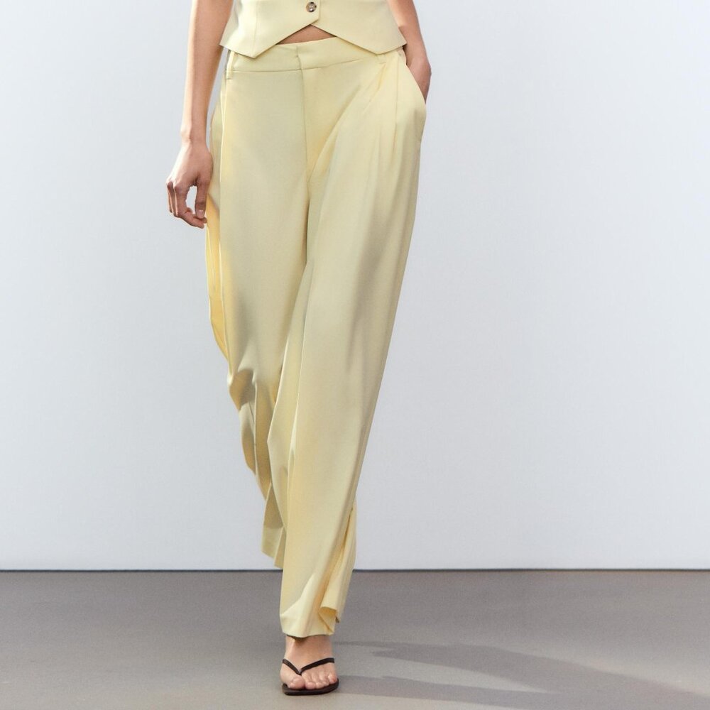 Zara Double Pleat Suit Pants